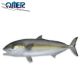Omer Fish Target Amberjack